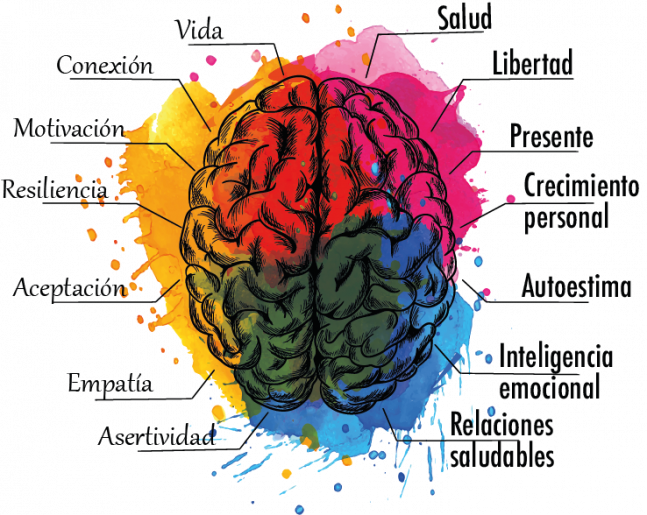 Cerebro multicolor - CAP